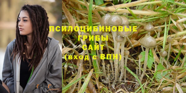а пвп мука Аркадак