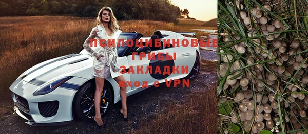 а пвп мука Аркадак